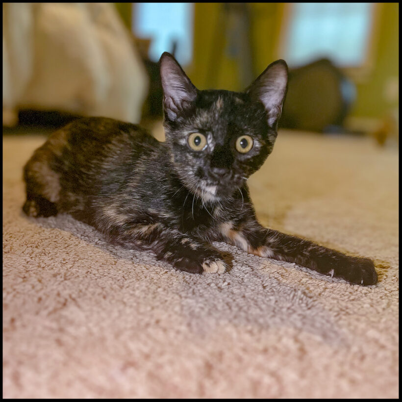 Lucy
