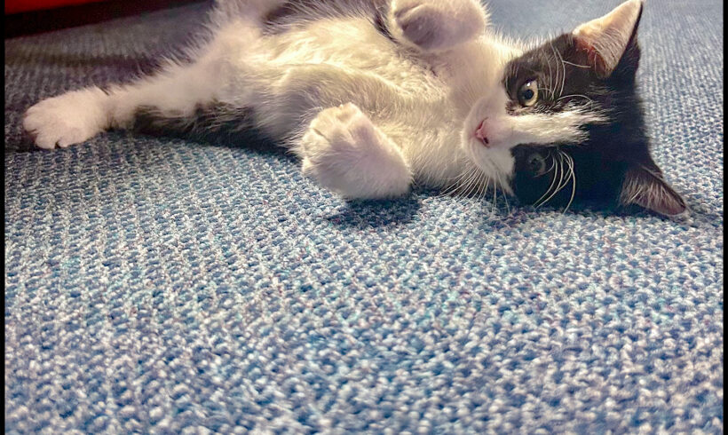 Gary