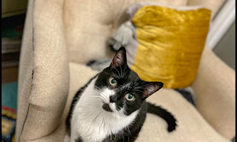 Eloise
