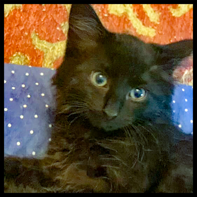 Kahn