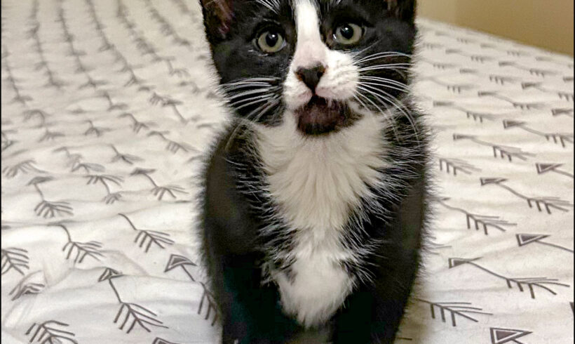 Fiyero